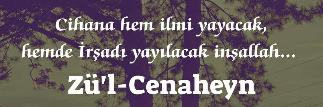 Nizam-ı Cedid banner
