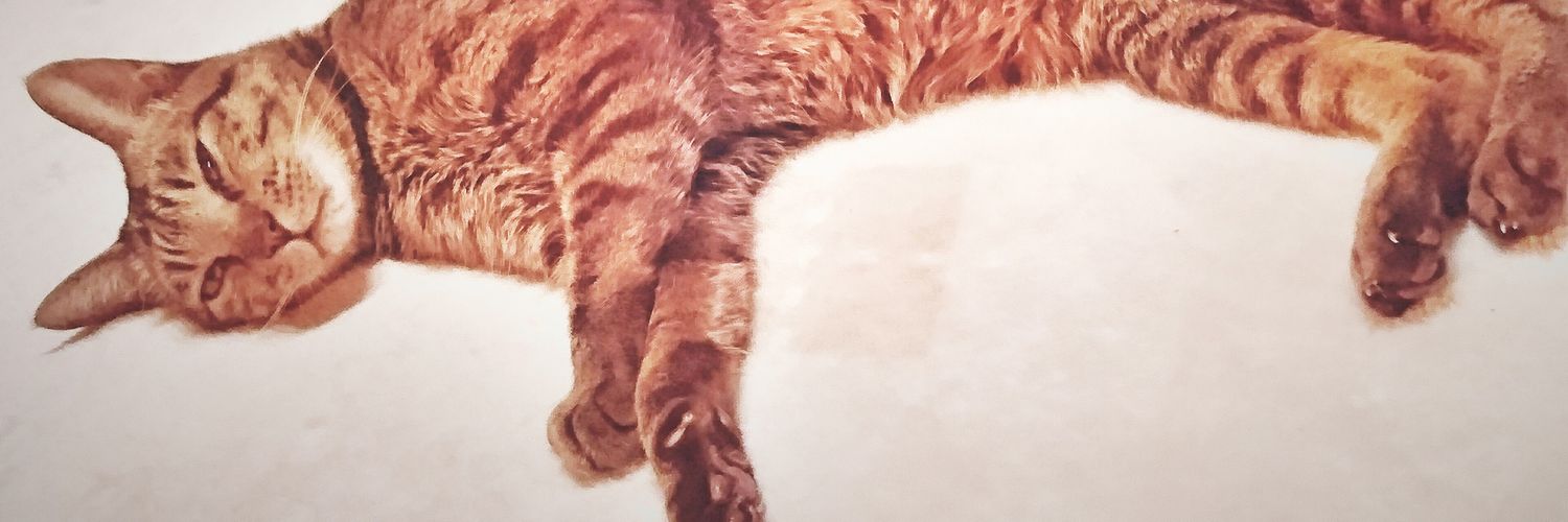 hachiavi's profile banner image