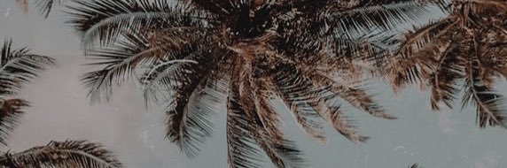 ashlegmm's profile banner image