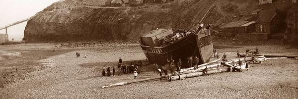 WhitbyDracula Profile Banner