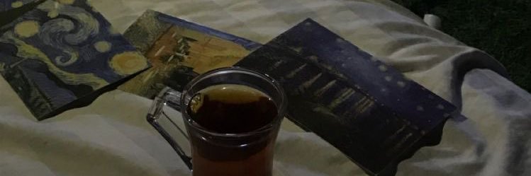 .NORAH|🌱 banner