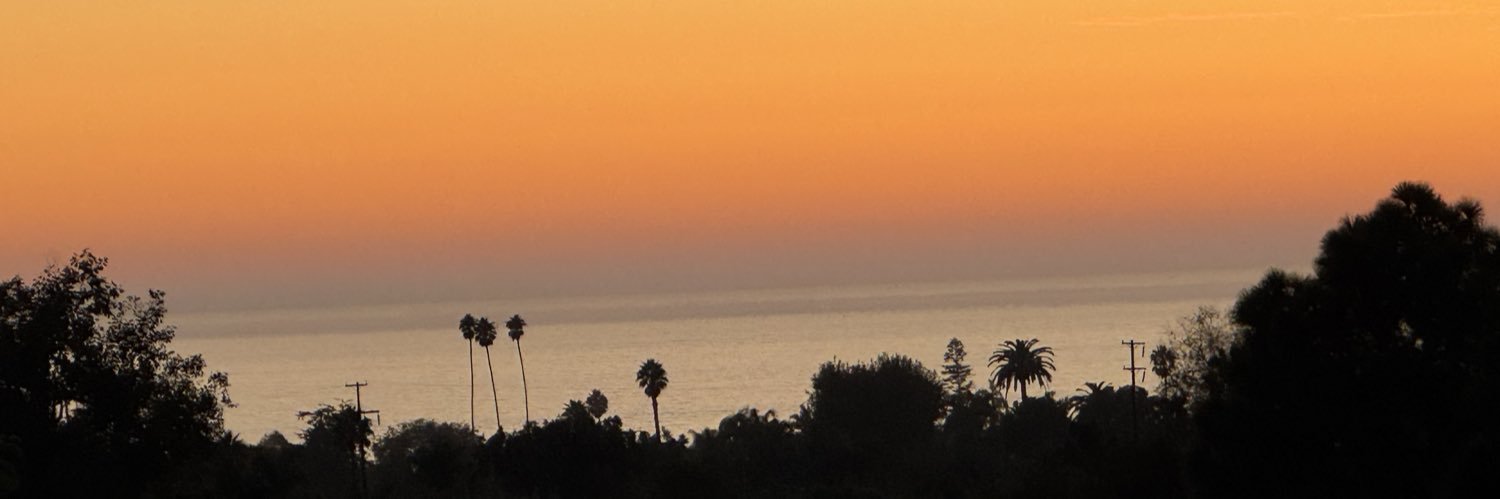 DJ 🇺🇸🏴‍☠️🍊 banner