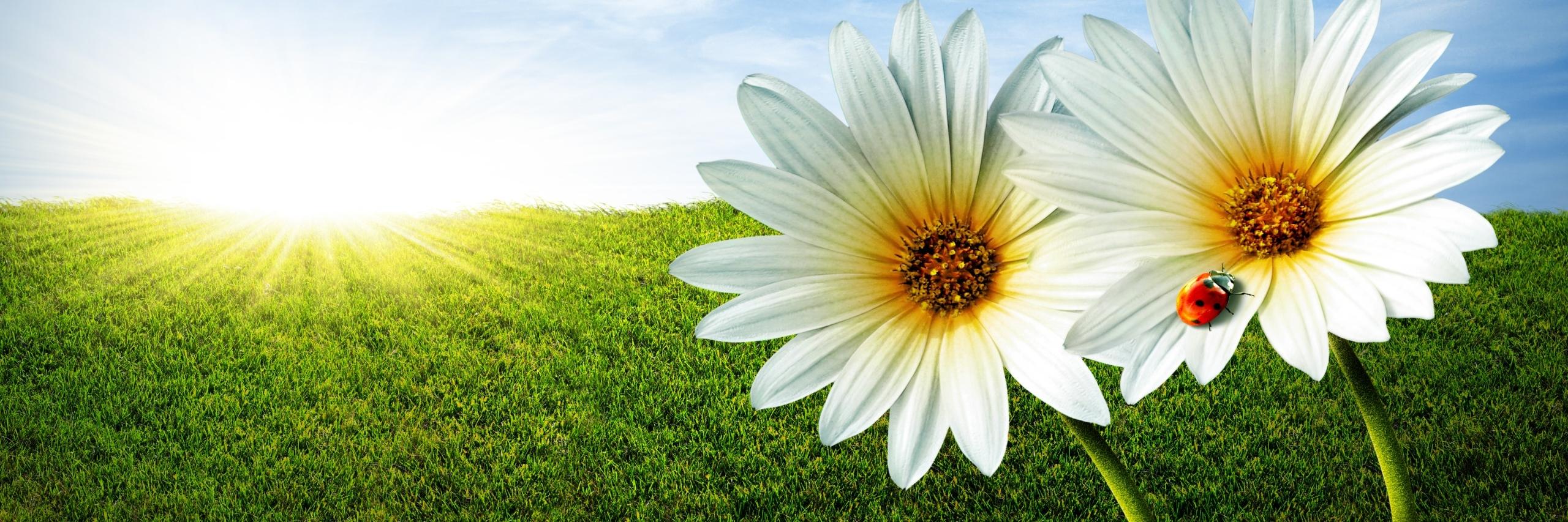LidiaDeSousa's profile banner image