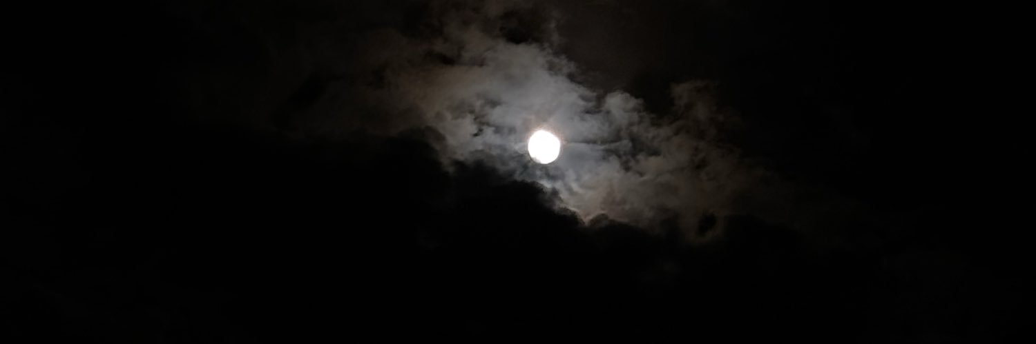 alaynaaar's profile banner image