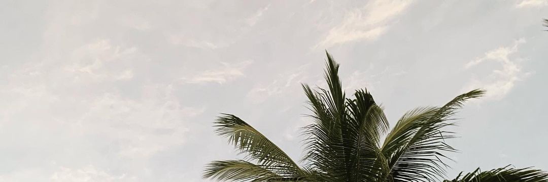 ginyz3ee's profile banner image