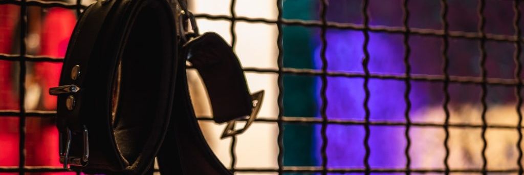 DPlatzhirsch's profile banner image