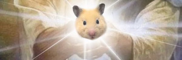 15m_hamster Profile Banner