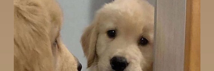 SophilDaniel's profile banner image