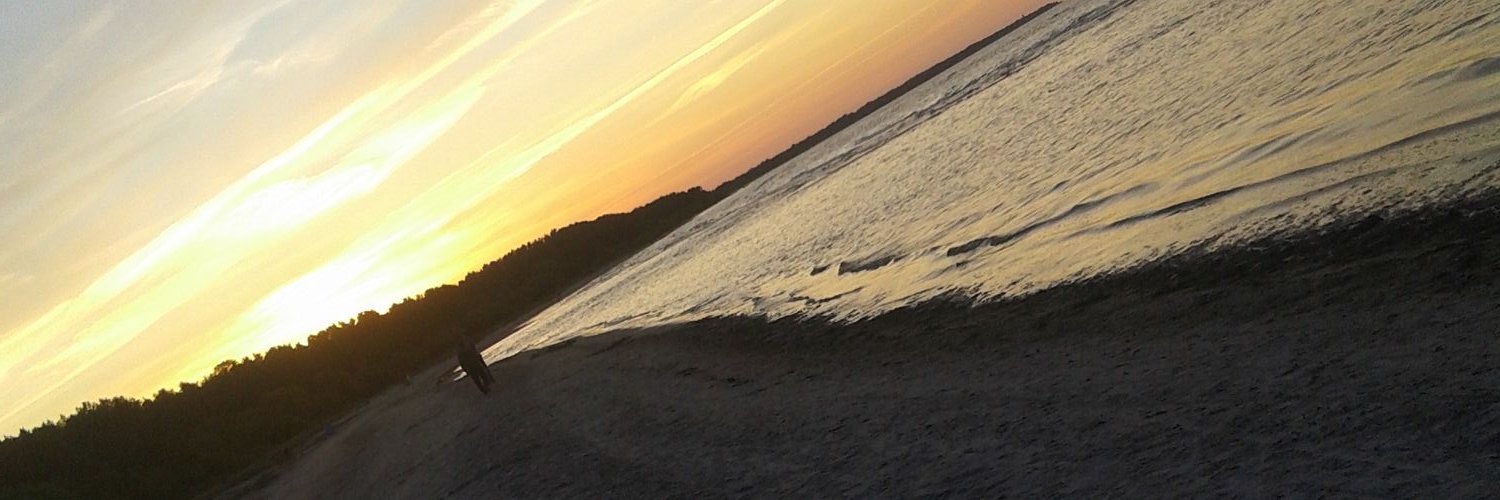 Dzeksone19's profile banner image