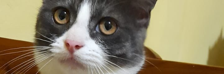 Leon_Exb's profile banner image