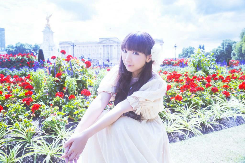 kanfuneko's profile banner image