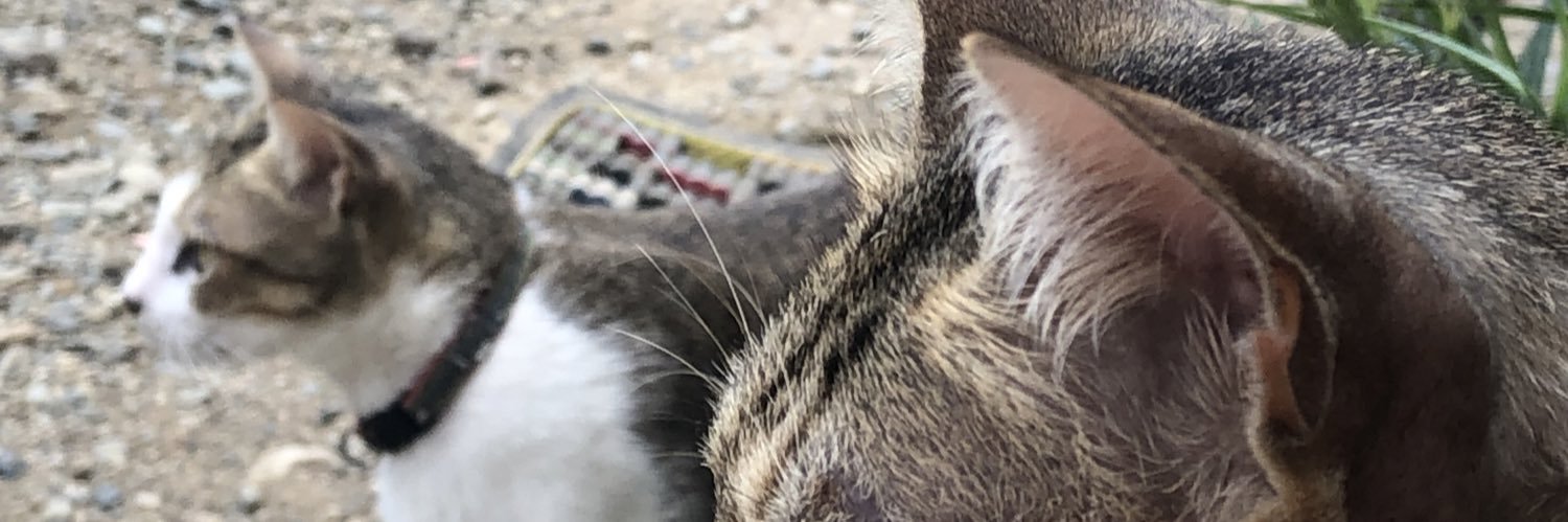 mnwlry's profile banner image