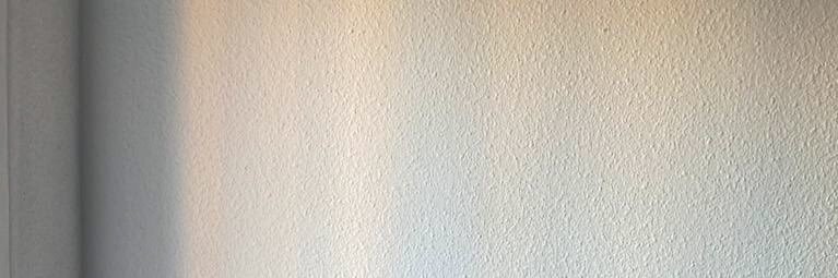 Carla Serrano banner