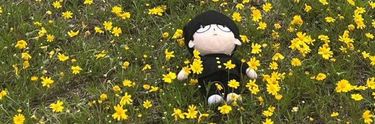 Chumzun's profile banner image