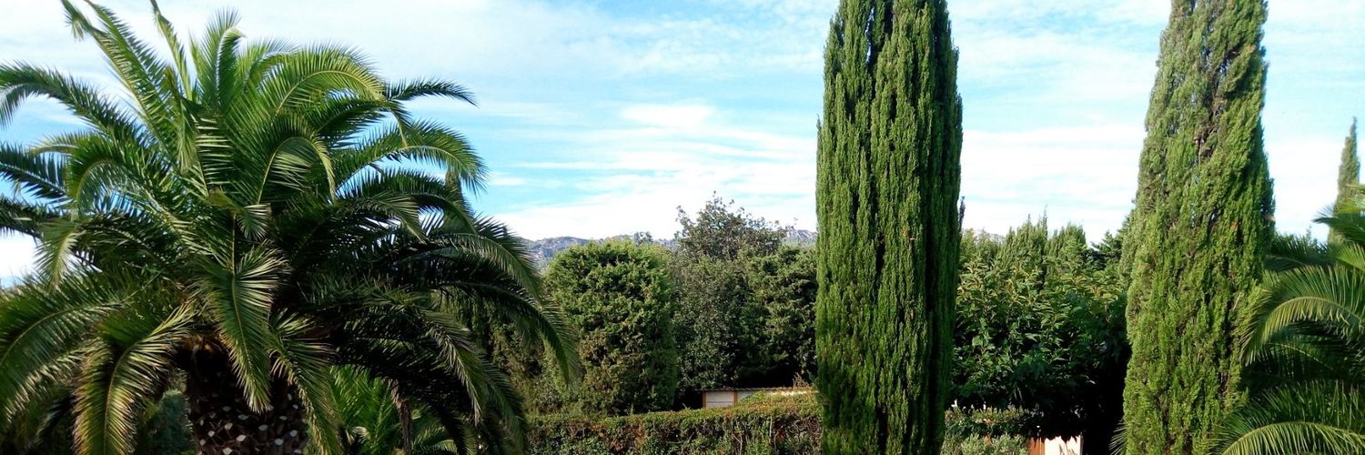 🇫🇷Alexandra✝️🇲🇫 banner