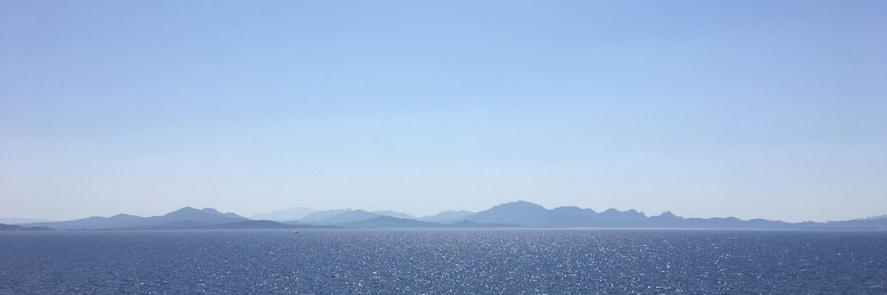 didalouvise's profile banner image