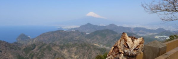 STUSSYKJ Profile Banner