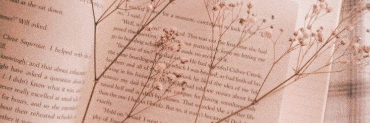 acchichaa's profile banner image