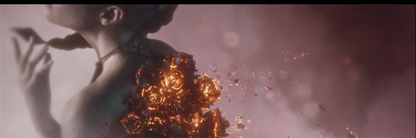 VIDOVSTRIKER Profile Banner