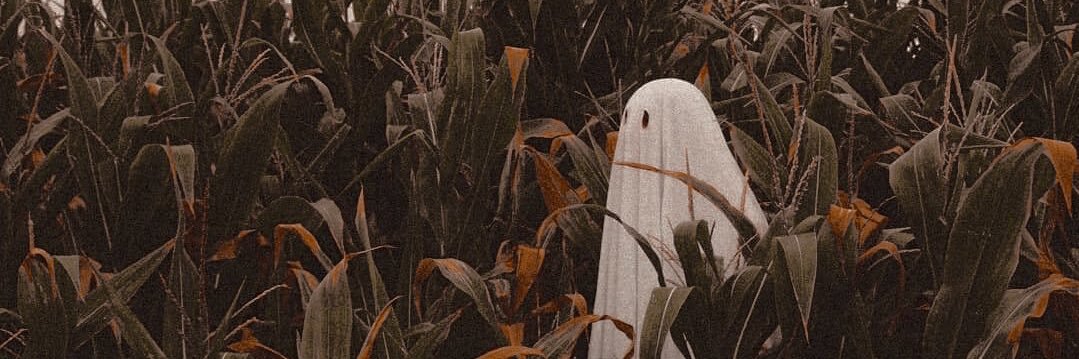 fall_witch's profile banner image
