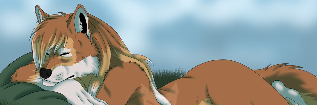 TheFurredWolf's profile banner image