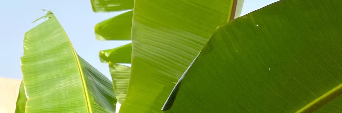 alvaroitu_'s profile banner image