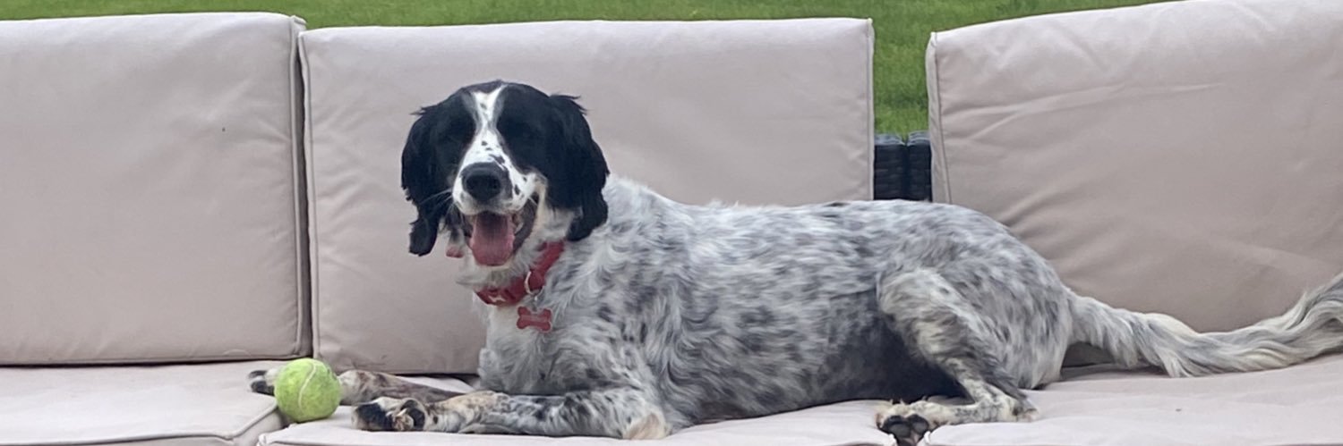 I is Jasper. Here in Hartsons honour ❤️'s banner