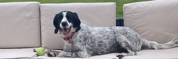 CancerDoggy Profile Banner