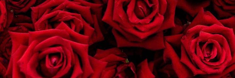 thereddroom1's profile banner image