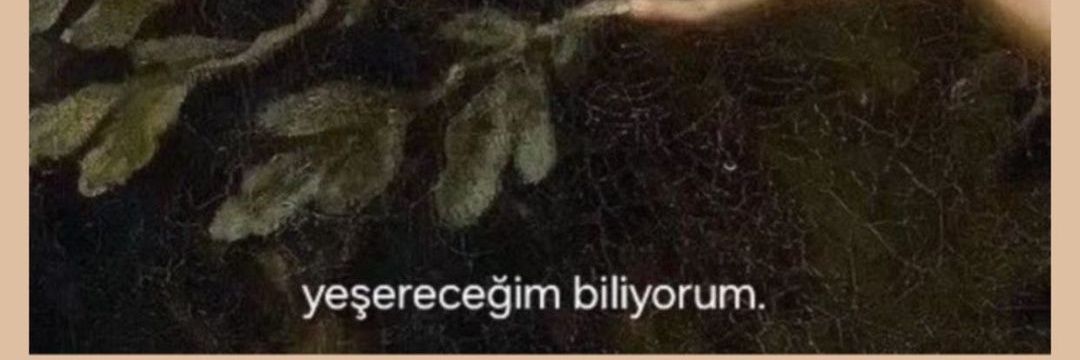 sinemayydnn1's profile banner image