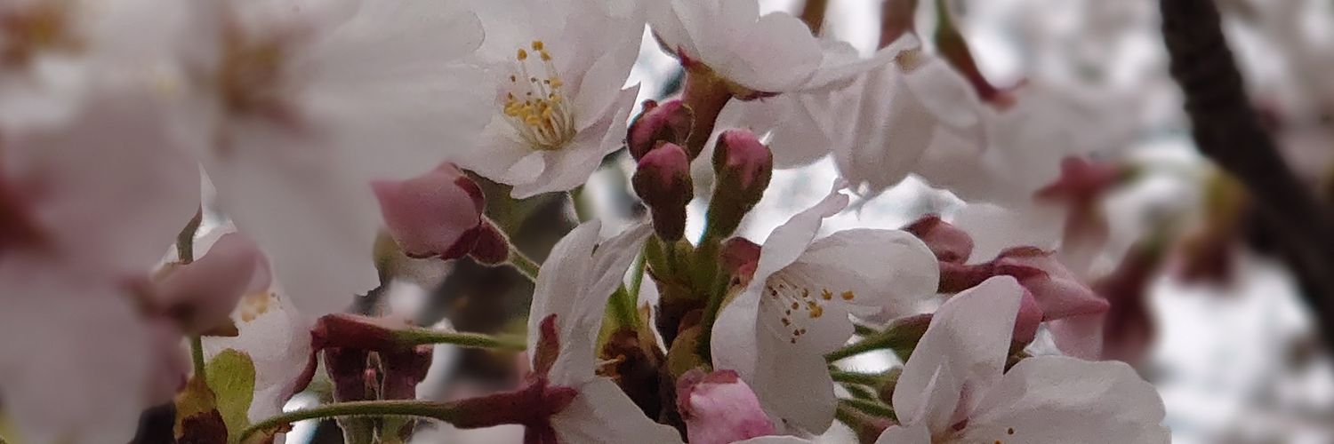 和25(なごみ)'s banner