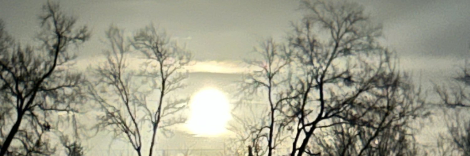 d_hellodolly's profile banner image