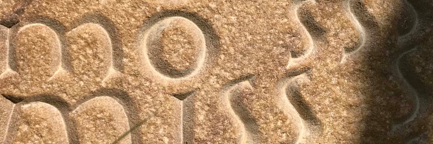 Mark McGuinness banner