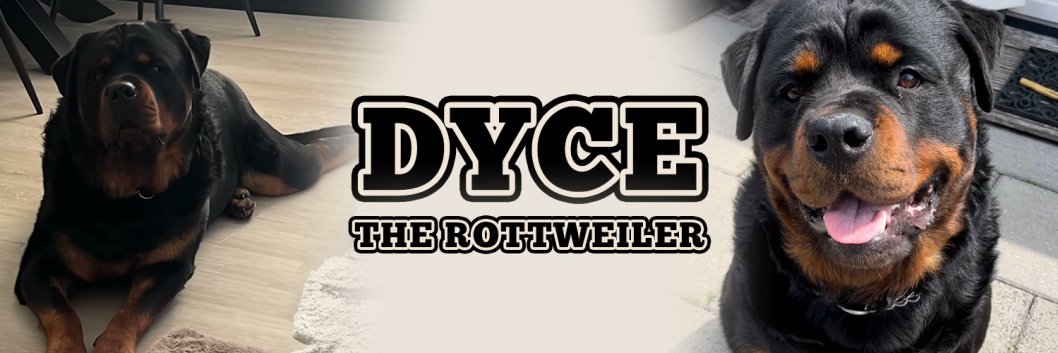 Dyce the Rottweiler banner