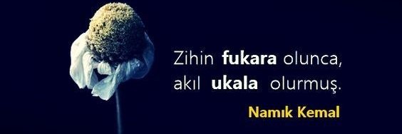 velioglu_a's profile banner image