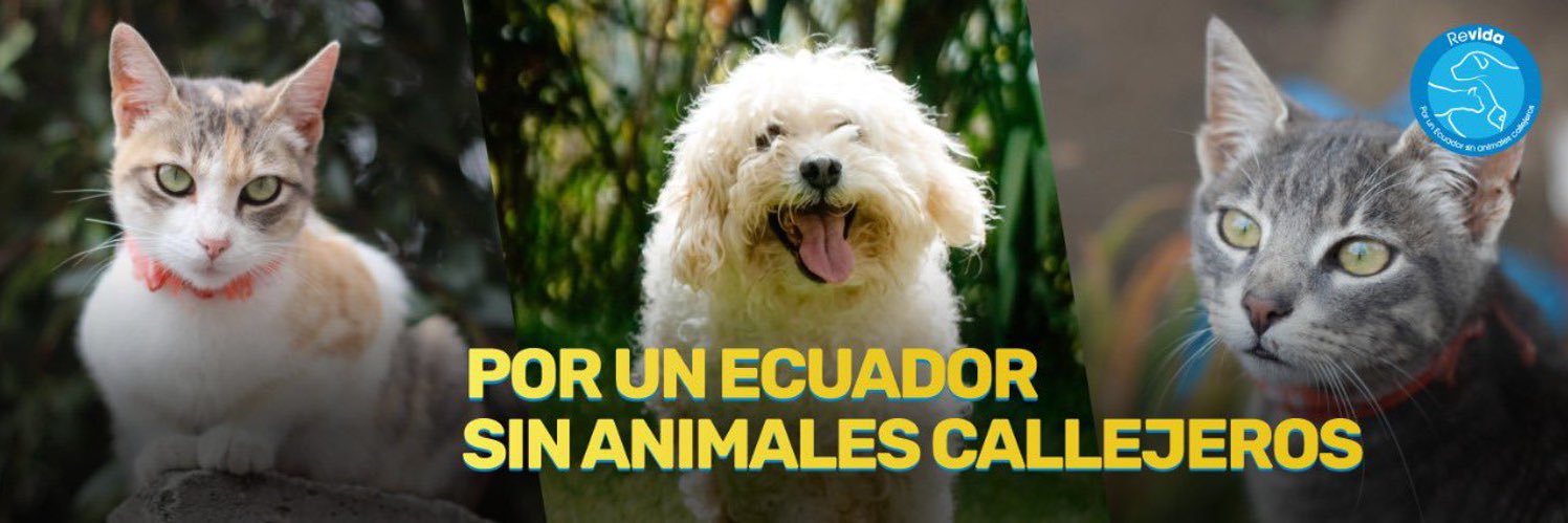 Fundación Revida banner