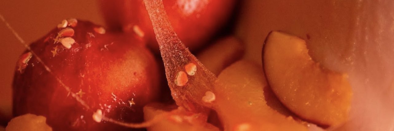 bruised.produce banner