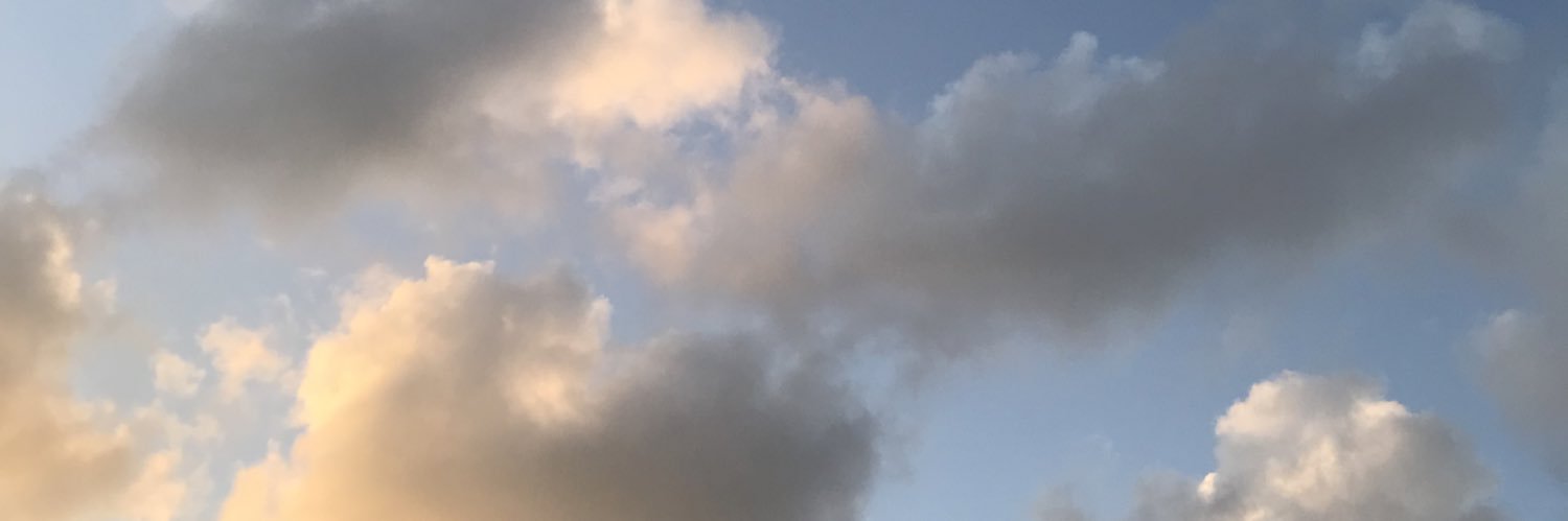 Isbelawnt's profile banner image