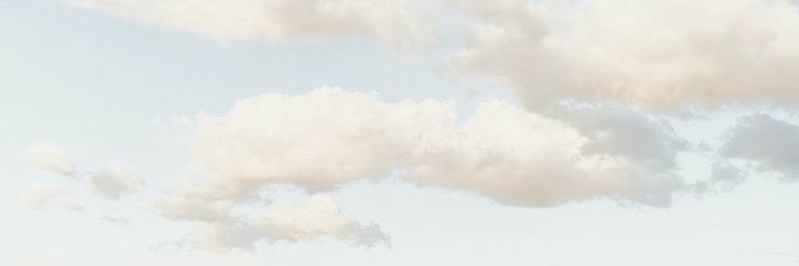 carla banner