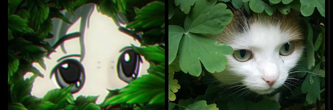 @tomkruise's banner