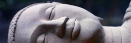 LauraLotito's profile banner image