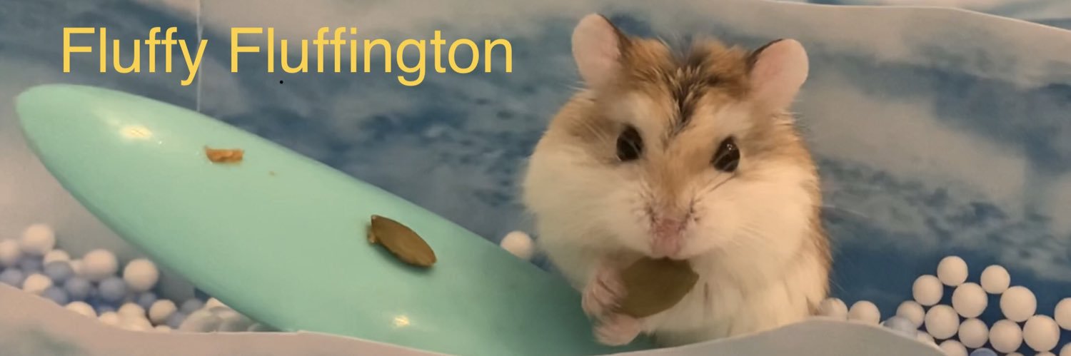 Fluffy Fluffington banner