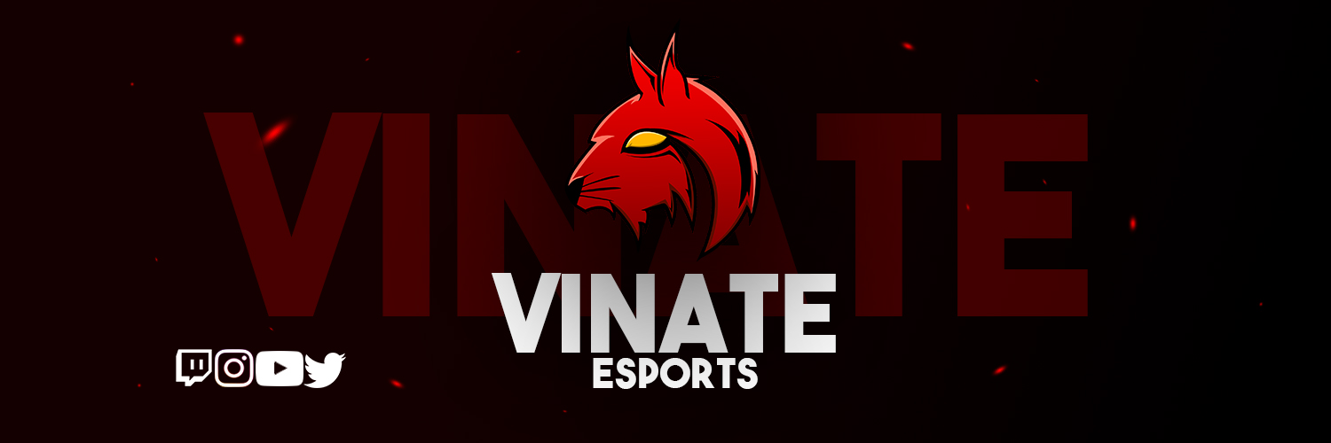 Vinate Esports Profile Banner