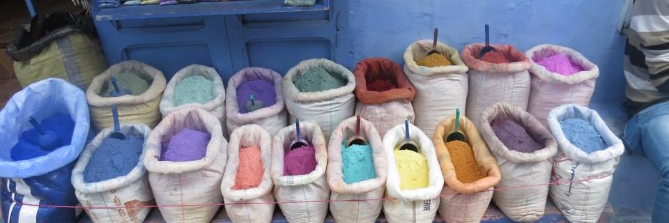 Steph Shea, MD, MPH banner