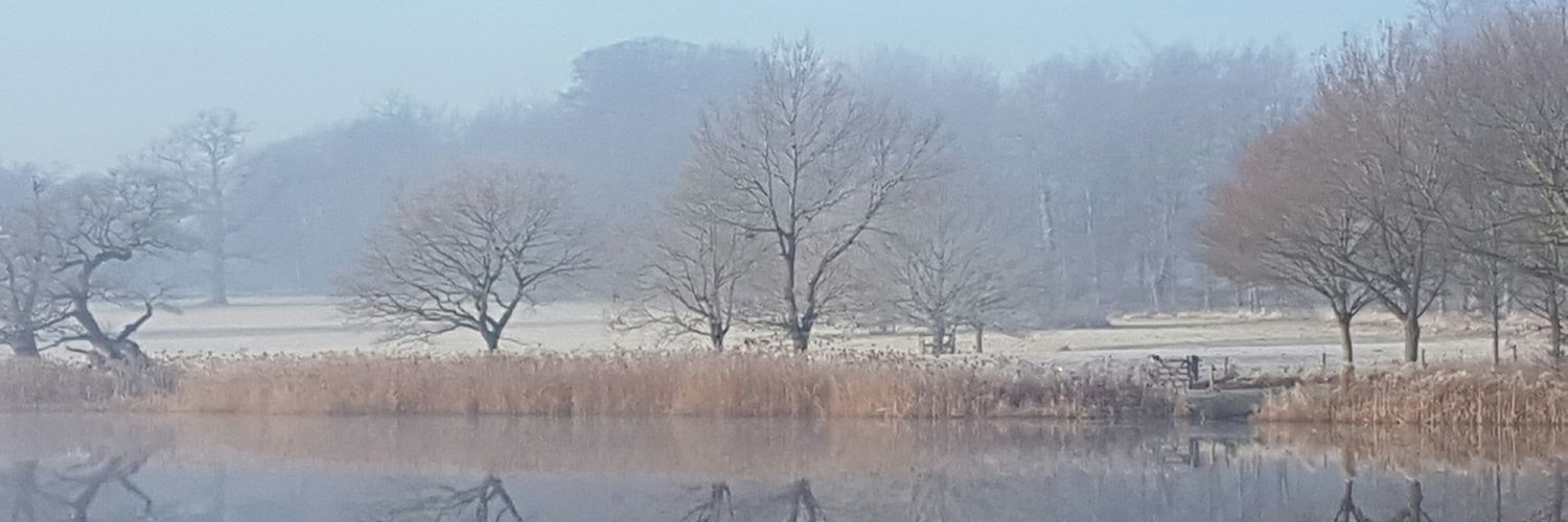 dotty1584's profile banner image