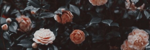 gMari_P's profile banner image
