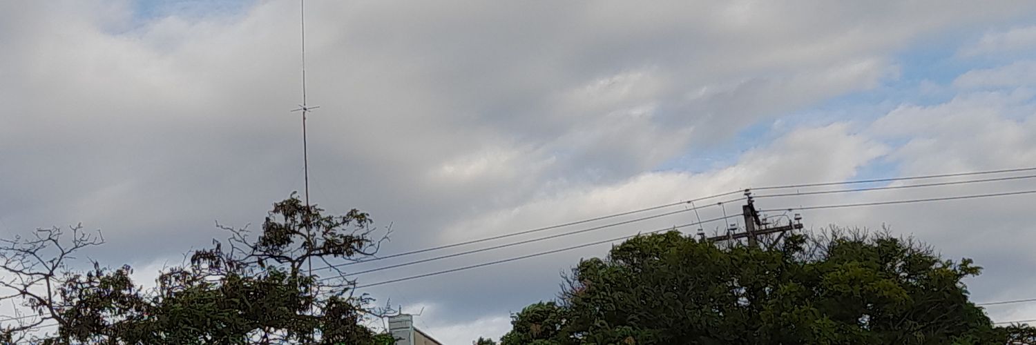 Toxoplasmodear ₍^. .^₎⟆ banner