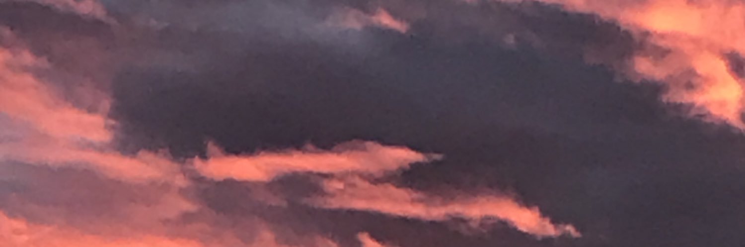 Valeriagamallo's profile banner image