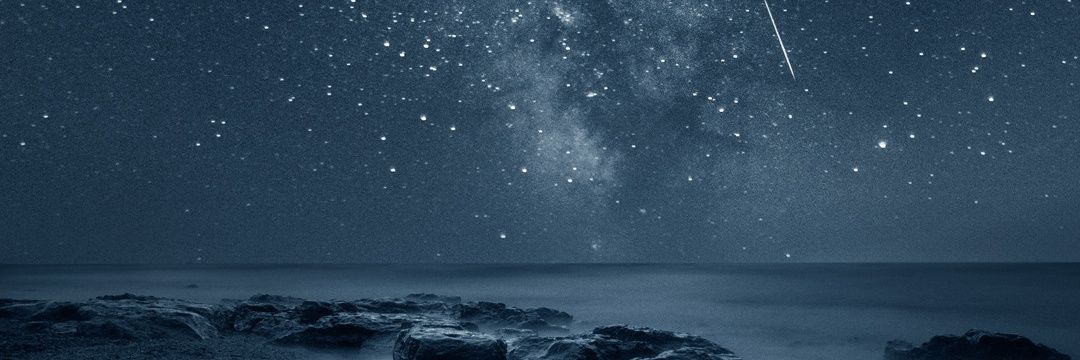 derangedpiglet's profile banner image
