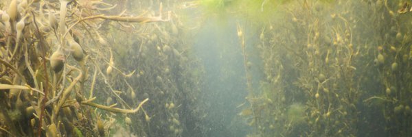 OwenMarineBio Profile Banner